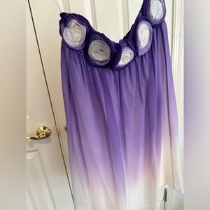 Alice and Olivia ombré dress